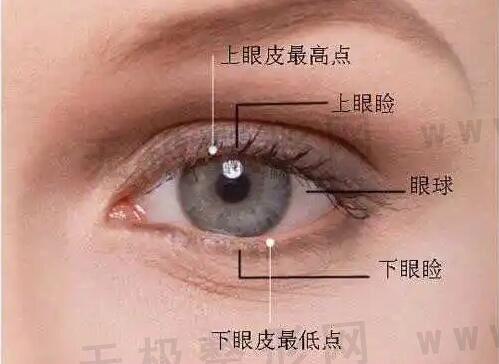 上海双眼皮整形医院排行榜，这六家整形医院位列前茅！